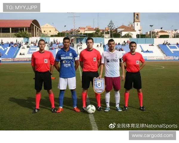 体育职业联赛年龄限制（职业体育联盟）sports